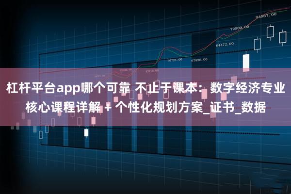 杠杆平台app哪个可靠 不止于课本：数字经济专业核心课程详解 + 个性化规划方案_证书_数据