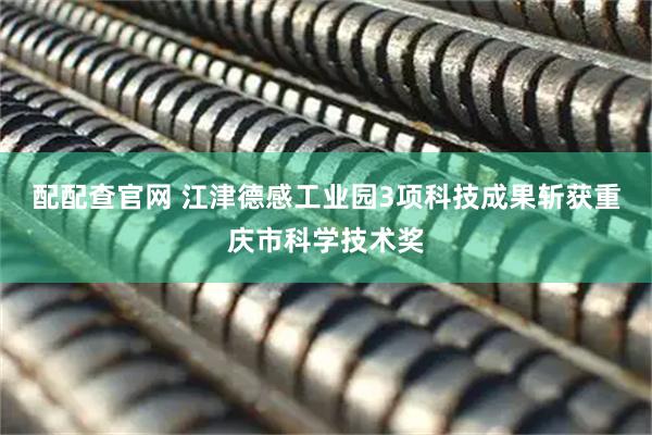 配配查官网 江津德感工业园3项科技成果斩获重庆市科学技术奖
