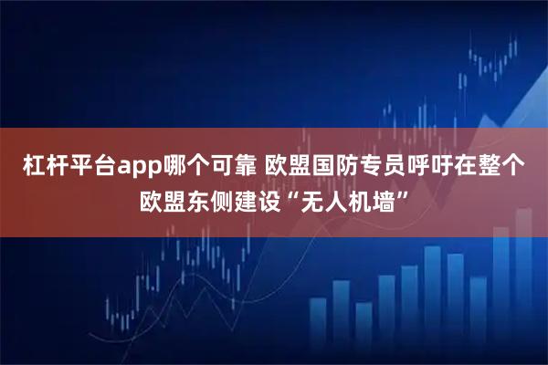 杠杆平台app哪个可靠 欧盟国防专员呼吁在整个欧盟东侧建设“无人机墙”