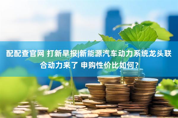 配配查官网 打新早报|新能源汽车动力系统龙头联合动力来了 申购性价比如何？