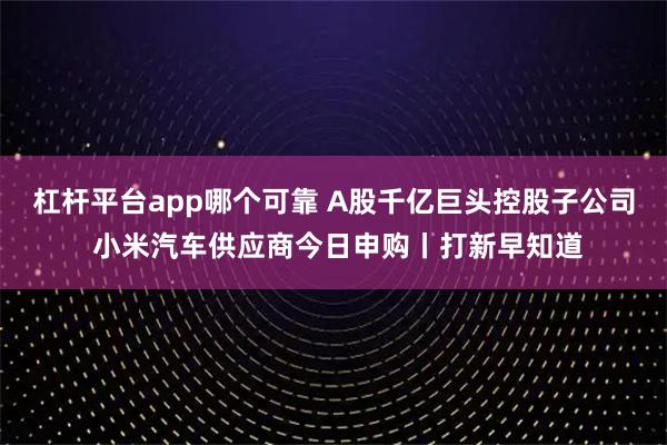 杠杆平台app哪个可靠 A股千亿巨头控股子公司 小米汽车供应商今日申购丨打新早知道
