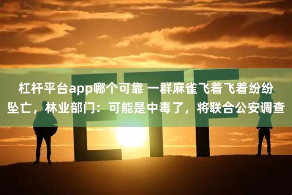 杠杆平台app哪个可靠 一群麻雀飞着飞着纷纷坠亡，林业部门：可能是中毒了，将联合公安调查